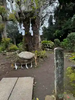 江島神社の{uncategorized: "未分類", other: "その他", undefined: "問題あり", building: "その他建物", grave: "お墓", sacred_gate: "鳥居", guardian: "狛犬", statue: "像", buddha: "仏像", history: "歴史", nature: "自然", garden: "庭園", animal: "動物", pagoda: "塔", temizu: "手水舎", mountain_gate: "山門・神門", sanctuary: "本殿・本堂", subordinate: "末社・摂社", art: "芸術", scenery: "景色", jizo: "地蔵", ema: "絵馬", goshuin: "御朱印", omikuji: "おみくじ", items: "授与品その他", amulet: "お守り", goshuincho: "御朱印帳", eats: "食事", festival: "お祭り", votive_dance: "神楽", shichigosan: "七五三参", wedding: "結婚式", experience: "体験その他", initially: "初詣", around: "周辺", anti_infection: "感染症対策"}
