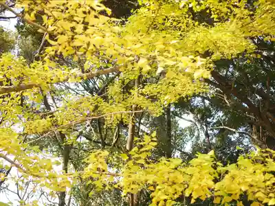 杉尾神社(和歌山県)