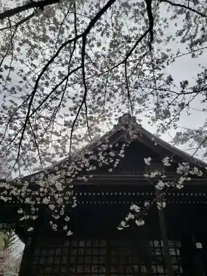 熊野神社(東京都)