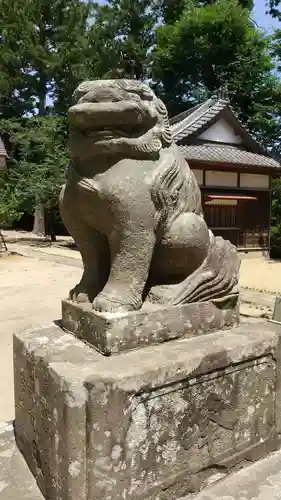 橘樹神社の狛犬