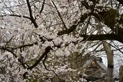 金峯神社(新潟県)