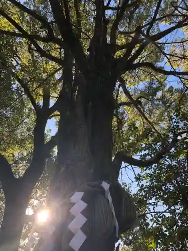 那古野神社の自然
