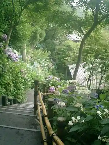 長谷寺のその他建物