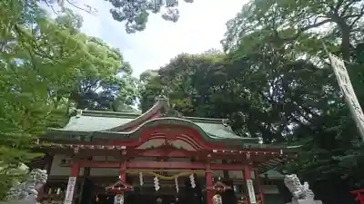 來宮神社の本殿・本堂
