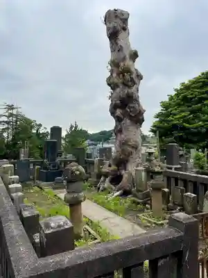 眞浄院(神奈川県)