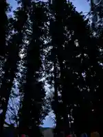 大宮温泉神社(栃木県)