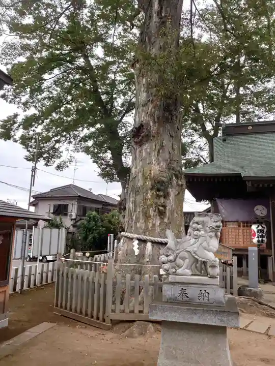 守谷総鎮守 八坂神社のその他建物
