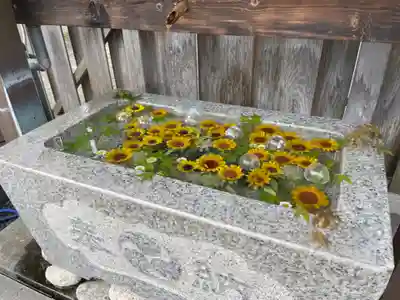 札幌八幡宮の手水舎