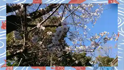 赤羽八幡神社(東京都)