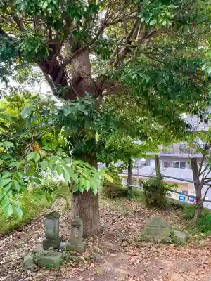 神明神社(千葉県)