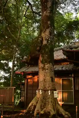 氷川女體神社(埼玉県)