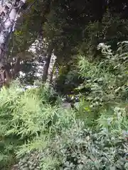 ときわ台天祖神社(東京都)