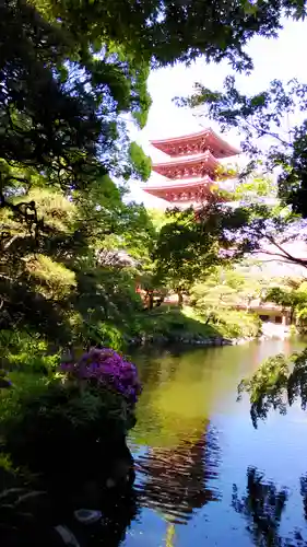 浅草寺の庭園