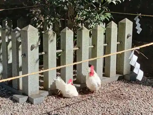 石上神宮(奈良県)