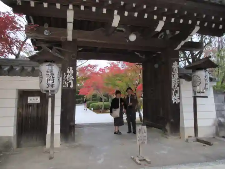 将軍塚青龍殿(青蓮院門跡)の山門・神門
