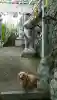 正法寺(福岡県)