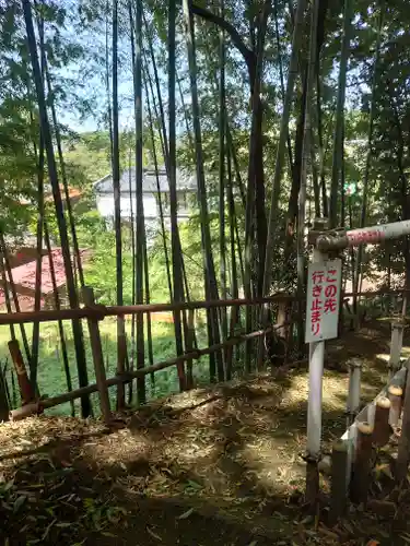 中将姫(神奈川県)