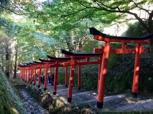 有子山稲荷神社の鳥居