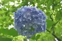 正安寺(神奈川県)