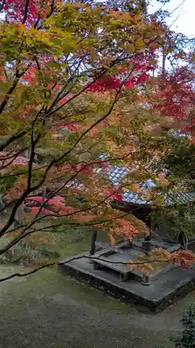 勝持寺（花の寺）(京都府)