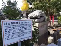 杉杜白髭神社(福井県)