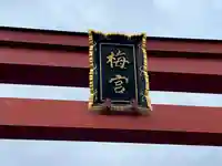 梅宮大社(京都府)