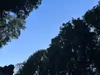 大宮温泉神社の自然