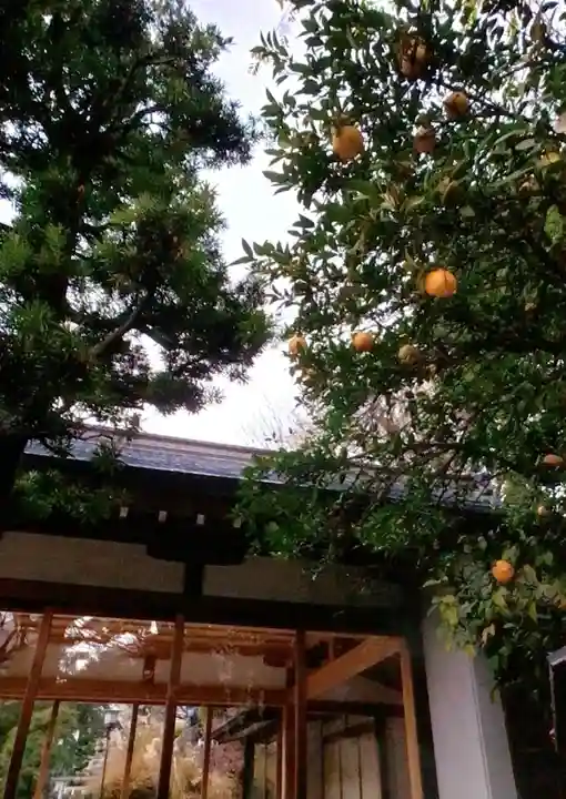 鳩森八幡神社(東京都)