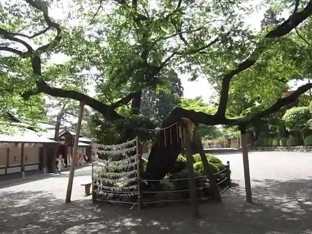 高麗神社の自然