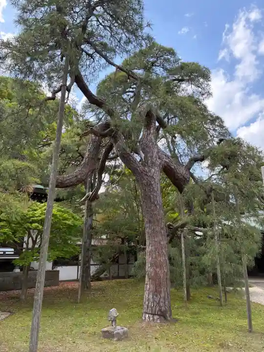 東漸寺(千葉県)