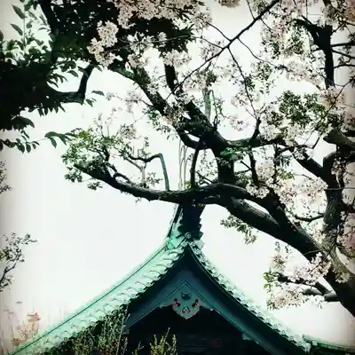 湯島聖堂のその他建物