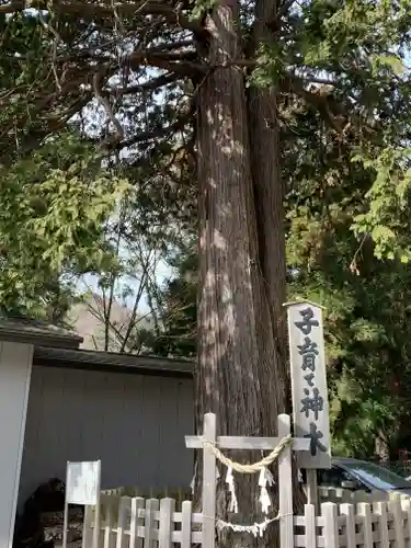 新倉富士浅間神社のその他建物