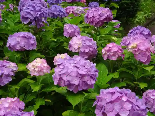 天台宗　長窪山　正覚寺の自然