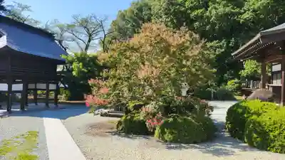 耕龍寺(山形県)