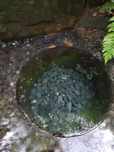 明治神宮(東京都)