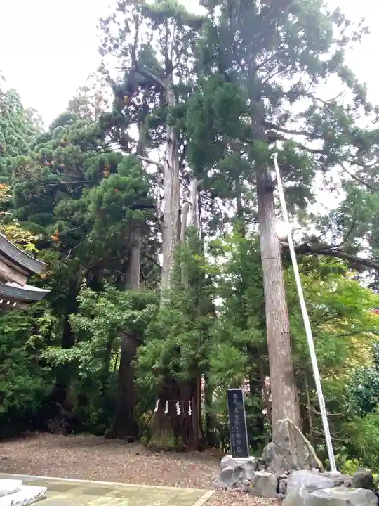 真山神社の自然