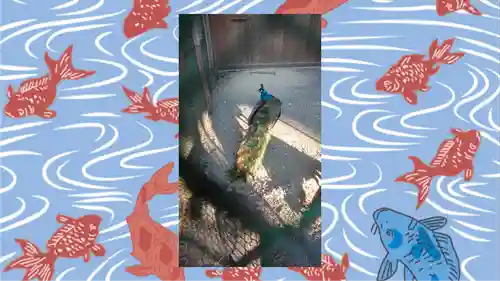 岩槻久伊豆神社(埼玉県)