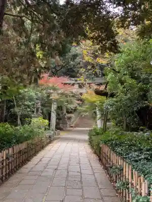赤坂氷川神社(東京都)
