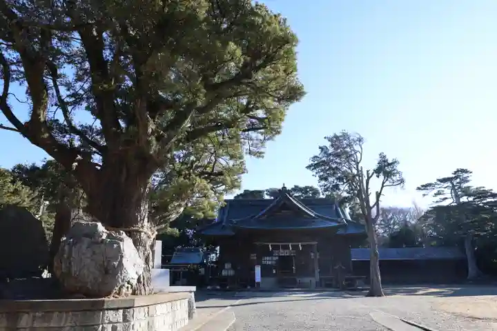鶴谷八幡宮(千葉県)