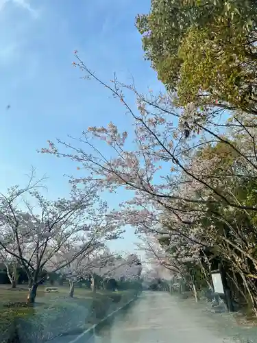 貴船神社の自然