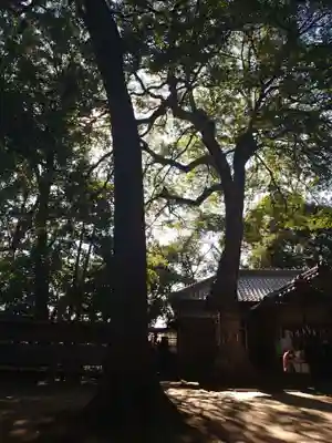 氷川女體神社のその他建物