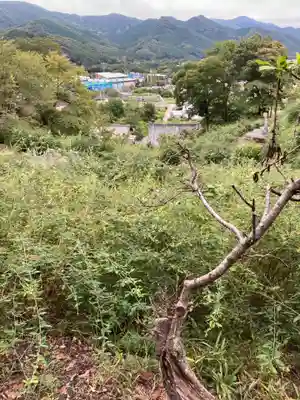 洞昌院(埼玉県)