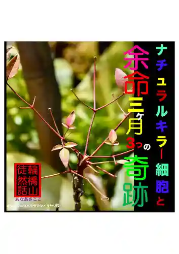 耕田院(山形県)