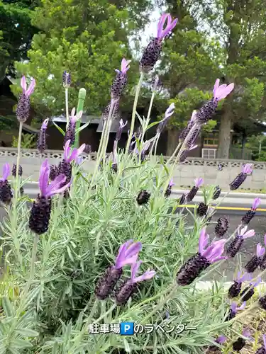 高司神社〜むすびの神の鎮まる社〜(福島県)