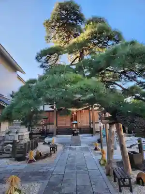 瑞光寺の{uncategorized: "未分類", other: "その他", undefined: "問題あり", building: "その他建物", grave: "お墓", sacred_gate: "鳥居", guardian: "狛犬", statue: "像", buddha: "仏像", history: "歴史", nature: "自然", garden: "庭園", animal: "動物", pagoda: "塔", temizu: "手水舎", mountain_gate: "山門・神門", sanctuary: "本殿・本堂", subordinate: "末社・摂社", art: "芸術", scenery: "景色", jizo: "地蔵", ema: "絵馬", goshuin: "御朱印", omikuji: "おみくじ", items: "授与品その他", amulet: "お守り", goshuincho: "御朱印帳", eats: "食事", festival: "お祭り", votive_dance: "神楽", shichigosan: "七五三参", wedding: "結婚式", experience: "体験その他", initially: "初詣", around: "周辺", anti_infection: "感染症対策"}