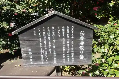 伝香寺の歴史