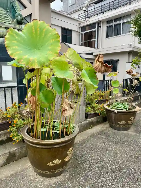 東禅寺(東京都)