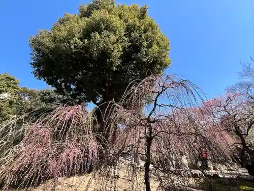 城南宮(京都府)