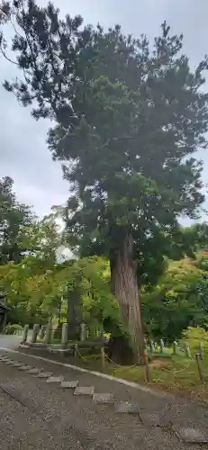 普門院（文知摺観音）の周辺