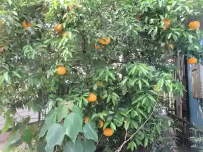 天満宮(神奈川県)